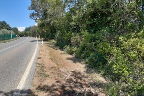 Stavbno zemljišče Maružini, Kanfanar, 1.276m2