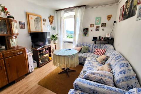 Istra, Buje, autohtona kuća s vrtom u centru