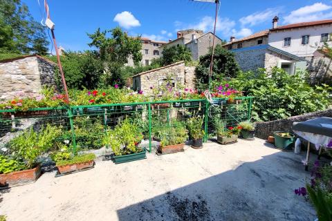 Istra, Buje, autohtona kuća s vrtom u centru