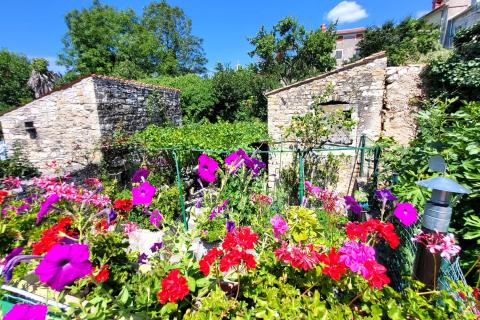Istra, Buje, autohtona kuća s vrtom u centru