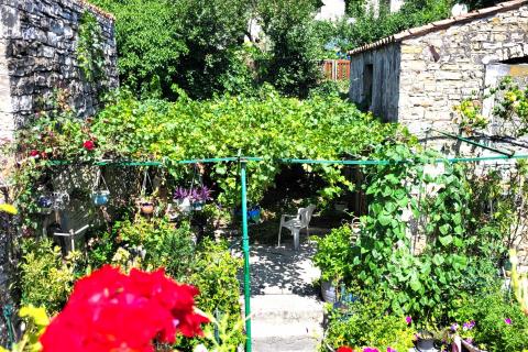 Istra, Buje, autohtona kuća s vrtom u centru