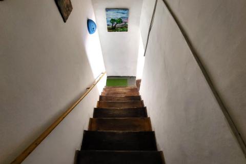 Istra, Buje, autohtona kuća s vrtom u centru