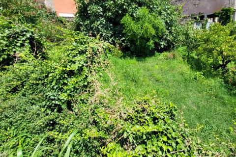 Istra, Buje, građevinsko zemljište s predivnim pogledom