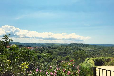 Istra, Buje, građevinsko zemljište s predivnim pogledom