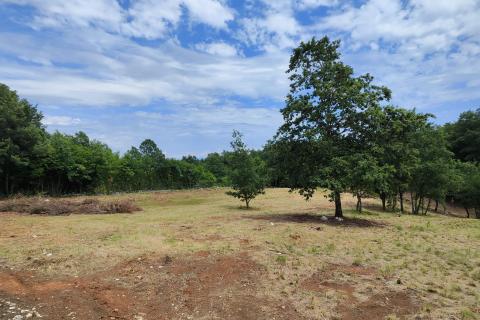 Bouwgrond Rajki, Barban, 