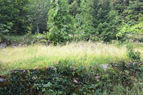 Opatija,- građevinsko zemljište iznad Opatije