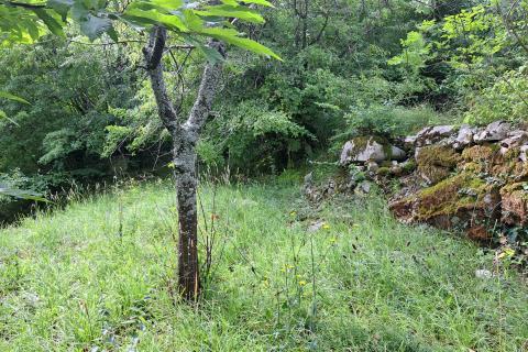 Opatija,- građevinsko zemljište iznad Opatije