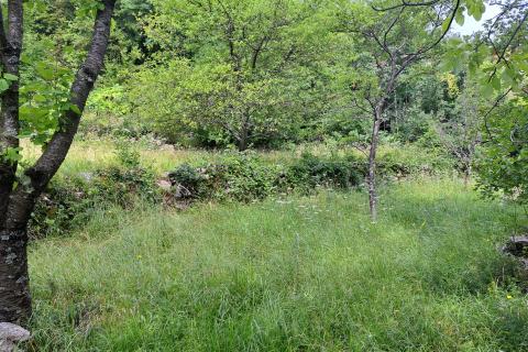 Opatija,- građevinsko zemljište iznad Opatije