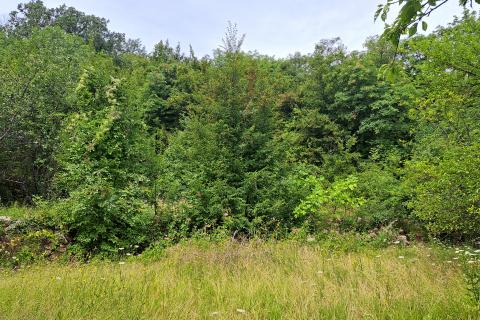 Opatija,- građevinsko zemljište iznad Opatije