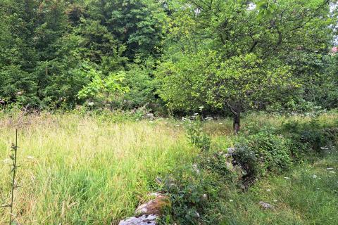 Opatija,- građevinsko zemljište iznad Opatije