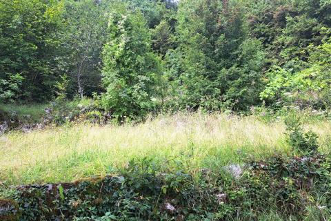 Opatija,građevinski teren ,Opatijska rivijera