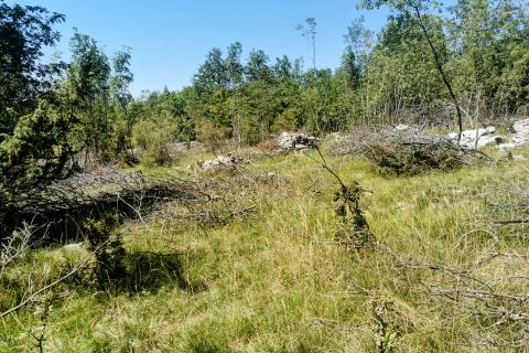 Nicht-strukturelle Land Lipa, Matulji, 3.298m2