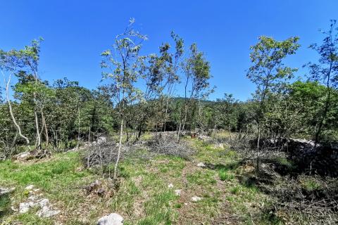 Земельный участок нестроительного назначения Lipa, Matulji, 2.288m2