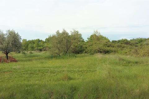 Umag - atraktivna parcela u Lovrečici 300 m od mora