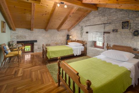 TINJAN, okolica- kamena vila sa 7000 m2 okućnice