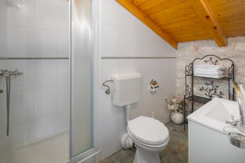 TINJAN, okolica- kamena vila sa 7000 m2 okućnice