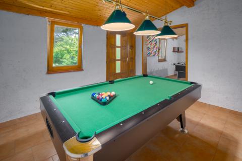 TINJAN, okolica- kamena vila sa 7000 m2 okućnice