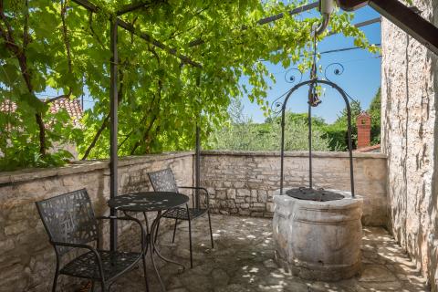 TINJAN, okolica- kamena vila sa 7000 m2 okućnice