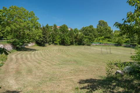 TINJAN, okolica- kamena vila sa 7000 m2 okućnice