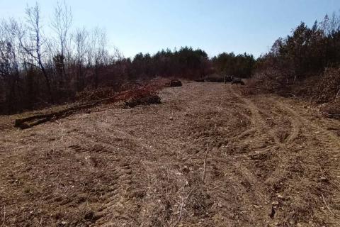 Istra, Buzet, poljoprivredno zemljište i šuma