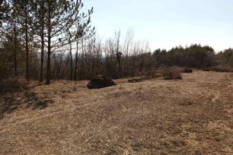 Istra, Buzet, poljoprivredno zemljište i šuma