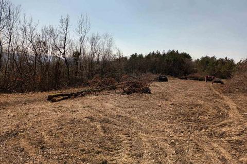 Istra, Buzet, poljoprivredno zemljište i šuma