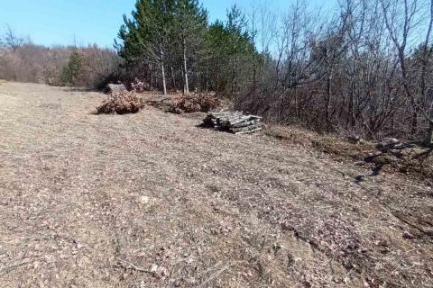 Istra, Buzet, poljoprivredno zemljište i šuma