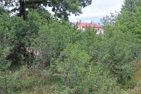 Terreno non edificabile Veli Brgud, Matulji, 345m2