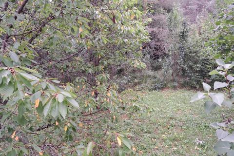 Terreno non edificabile Veli Brgud, Matulji, 345m2