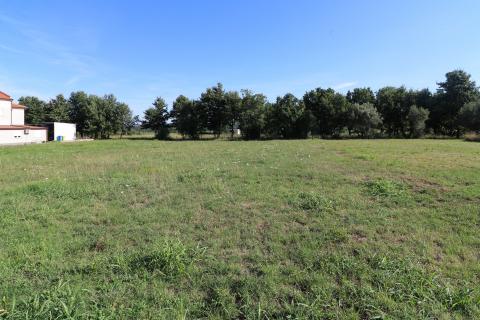 POREČ, okolica- zemljište pred urbanizacijom