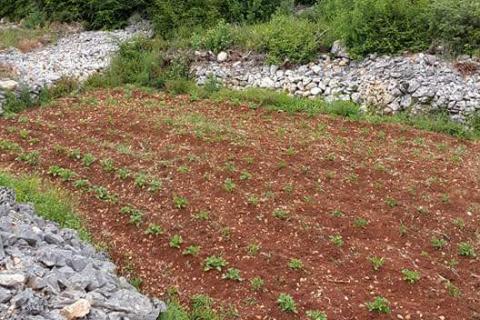 Земельный участок строительного назначения Kras, Dobrinj, 1.620m2