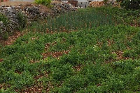 Земельный участок строительного назначения Kras, Dobrinj, 1.620m2