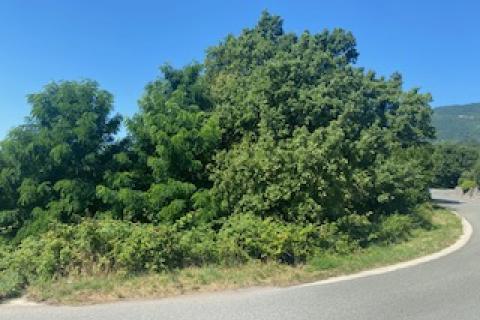 Building plot Bregi, Matulji, 944m2