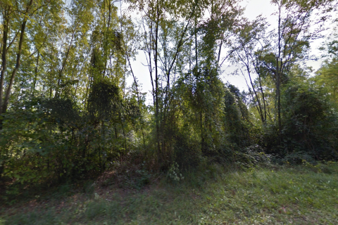 Motovun okolica,  poljoprivrdno zemljište 73837 m2