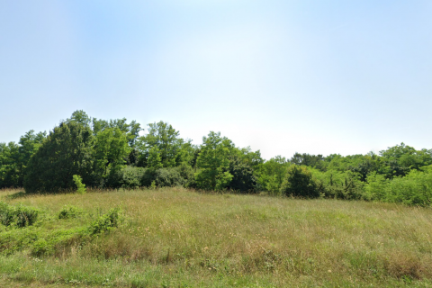 Motovun okolica,  poljoprivrdno zemljište 73837 m2