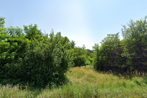 Motovun okolica,  poljoprivrdno zemljište 73837 m2