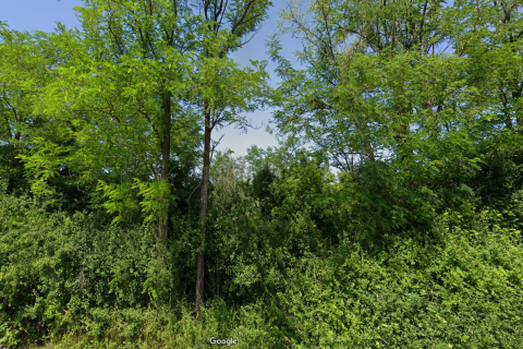 Motovun okolica,  poljoprivrdno zemljište 73837 m2
