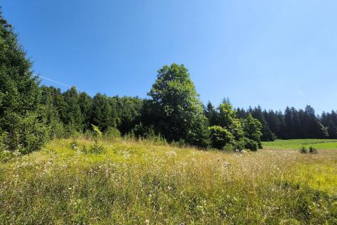 Земельный участок нестроительного назначения Sunger, Mrkopalj, 1.728m2