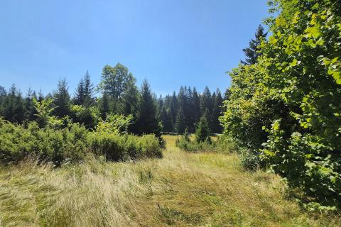 Земельный участок нестроительного назначения Sunger, Mrkopalj, 1.728m2