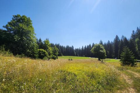 Земельный участок нестроительного назначения Sunger, Mrkopalj, 1.728m2