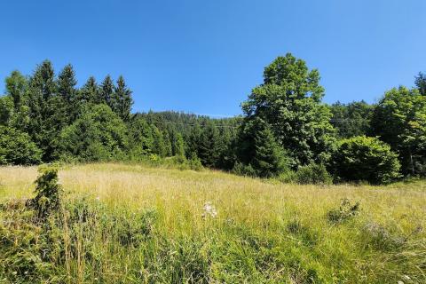 Земельный участок нестроительного назначения Sunger, Mrkopalj, 1.728m2