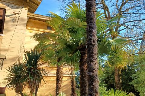 Wohnung Dobreć, Opatija - Okolica, 294m2