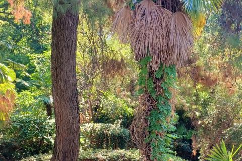 Wohnung Dobreć, Opatija - Okolica, 294m2