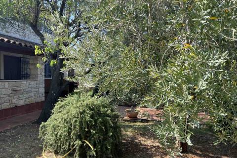 Istra,Galižana - uređeno imanje sa tri kuće