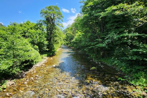 Brod na Kupi, Iševnica - građevinski teren predivnog pogleda 1159 m2