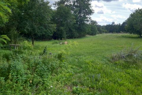 Building plot Žminj, 1.389m2