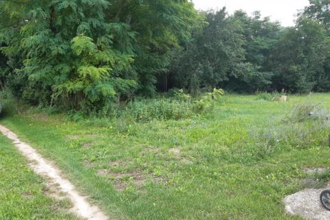 Bauland Žminj, 1.246m2