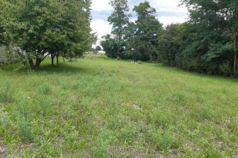 Bauland Žminj, 1.246m2