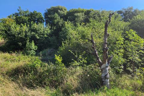 Земельный участок строительного назначения Draga, Rijeka, 1.278m2