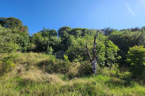 Земельный участок строительного назначения Draga, Rijeka, 1.278m2